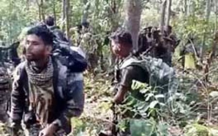 छत्तीसगढ़-तेलंगाना बॉर्डर में सुरक्षाबलों ने 12 नक्सली मार गिराए...