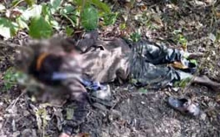 ब्रेकिंग न्यूज : छत्तीसगढ़-ओडिशा बॉर्डर पर 15 नक्सली मारे, इनमें 1 करोड़ का इनामी भी, 1000 जवानों ने 60 नक्सलियों को घेरा