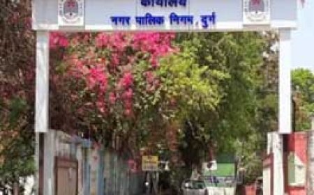 दुर्ग निगम में पहले दिन मेयर के लिए 1 नामांकन, पार्षद के लिए 30 ने लिया पर्चा