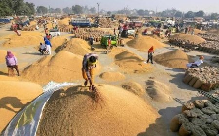 पिछले साल के धान खरीदी का टूटा रिकार्ड, धान खरीदी का आंकड़ा 145 लाख मीट्रिक टन से पार