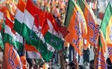 छत्तीसगढ़ नगरीय निकाय चुनाव के नामांकन का आखिरी दिन, मेयर से लेकर अन्य पदों के प्रत्याशी करेंगे फाइनल नामांकन