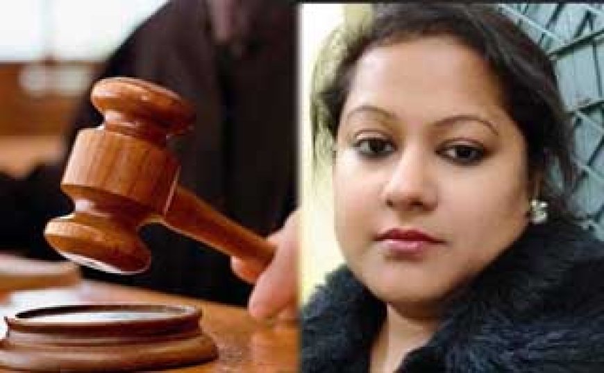 सौम्या चौरसिया को ज़मानत मिली, रायपुर कोर्ट ने दी ज़मानत...