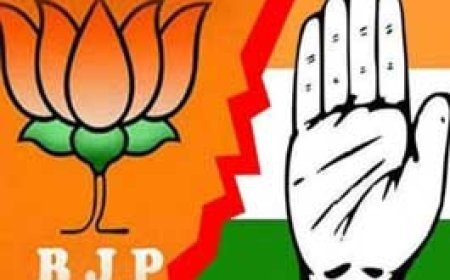 दो वार्डों में 10-10 प्रत्याशी:शहर के 11 वार्डों में भाजपा-कांग्रेस के बीच सीधा मुकाबला