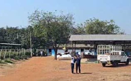 दुर्ग जिले के पाटन थाना क्षेत्र में फार्म हाउस से पुलिस ने 500 पेटी शराब पकड़ी  गई