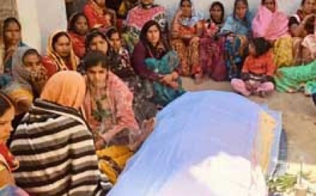 जहरीली महुआ शराब पीने से 7 मौतें...4 गंभीर:मरने वालों में सरपंच का भाई भी, बिलासपुर में पहले 3,फिर एक साथ 4 ने तोड़ा दम