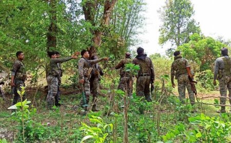 पुलिस- नक्सली मुठभेड़ के बाद अब तक कुल 31 वर्दीधारी नक्सलियों का शव बरामद, दो जवान शहीद