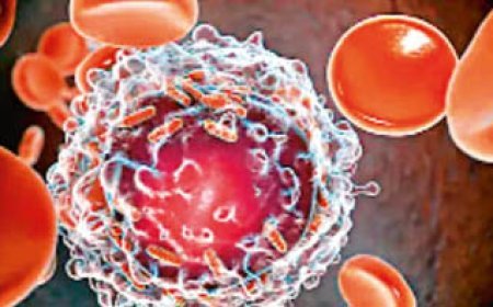 देश का पहला कैंसर जीनोम डाटाबेस लॉन्च, अब शुरुआती स्तर पर ही होगा कैंसर का बेहतर इलाज