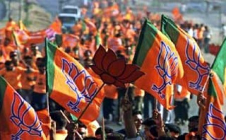 भाजपा को हर जगह जीत क्योंकि सत्ता का सपोर्ट....