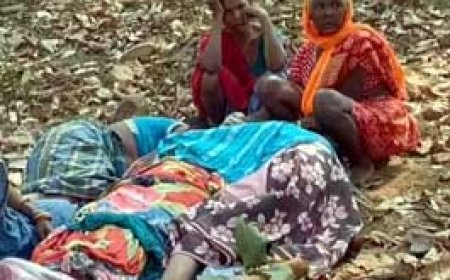 नक्सलियों ने शिक्षक सहित 2 लोगों को मार डाला, बीजापुर में आधी रात घर से उठा ले गए