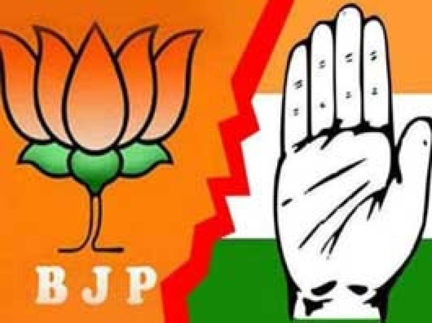 दो वार्डों में 10-10 प्रत्याशी:शहर के 11 वार्डों में भाजपा-कांग्रेस के बीच सीधा मुकाबला