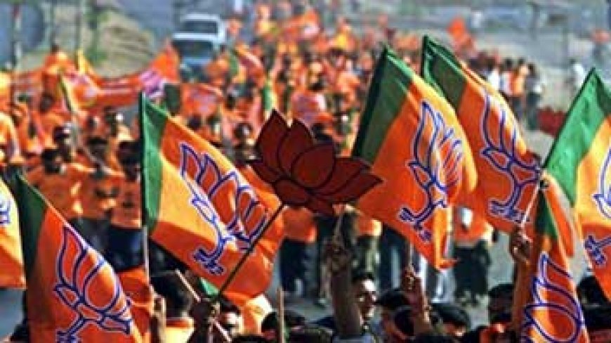 भाजपा को हर जगह जीत क्योंकि सत्ता का सपोर्ट....