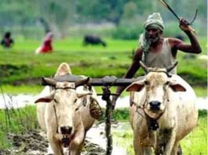 पीएम-किसान की 19वीं किस्त आज जारी होगी, 9.8 करोड़ किसानों को ट्रांसफर होंगे ₹22 हजार करोड़