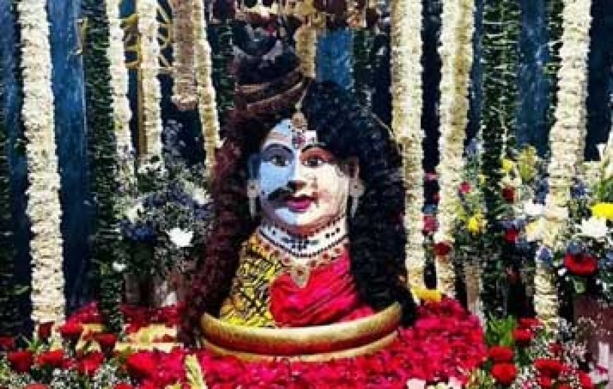 राजिम में शाही स्नान से पहले नागा साधुओं का स्वागत, रायपुर में हटकेश्वरनाथ का अर्धनारीश्वर स्वरूप, शाम को निकलेगी शिव बारात
