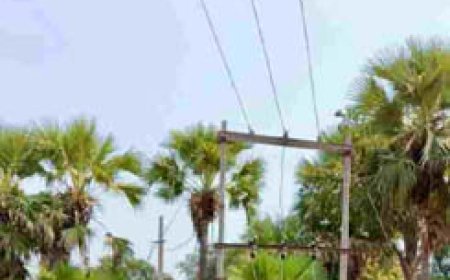 नक्सल प्रभावित गांव के 75 घरों में पहली बार पहुंची बिजली