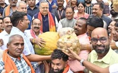 विधानसभा में कद्दू बना VVIP, 40 किलो का कुम्हड़ा देखने लगी भीड़