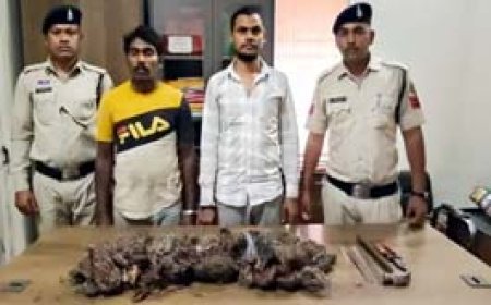 पूर्व मुख्यमंत्री के खेत में हुई केबल चोरी का खुलासा, दो आरोपी गिरफ्तार