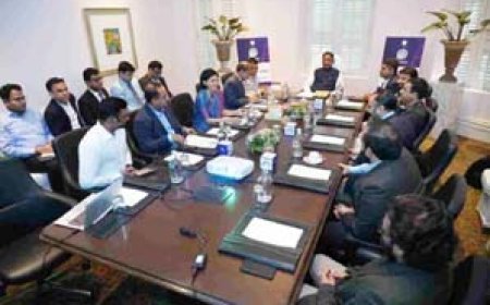 पराली से बनेगा हरित ईंधन, छत्तीसगढ़ में बढ़ेगा ग्रीन एनर्जी निवेश