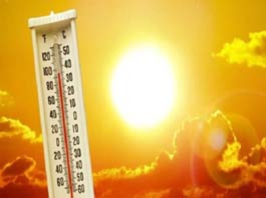 छत्तीसगढ़ में गर्मी का प्रकोप: पारा 37 डिग्री पार, 6 मार्च से मिलेगी राहत