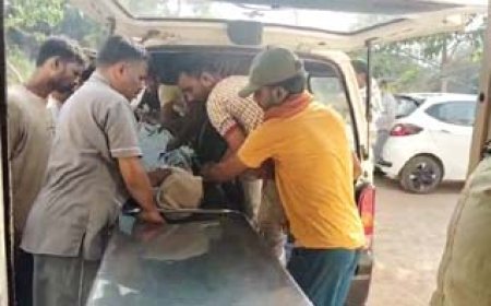 कुम्हारी की सा मिल में दर्दनाक हादसा: मशीन से उछला लकड़ी का गोला, प्रवासी मजदूर की मौत