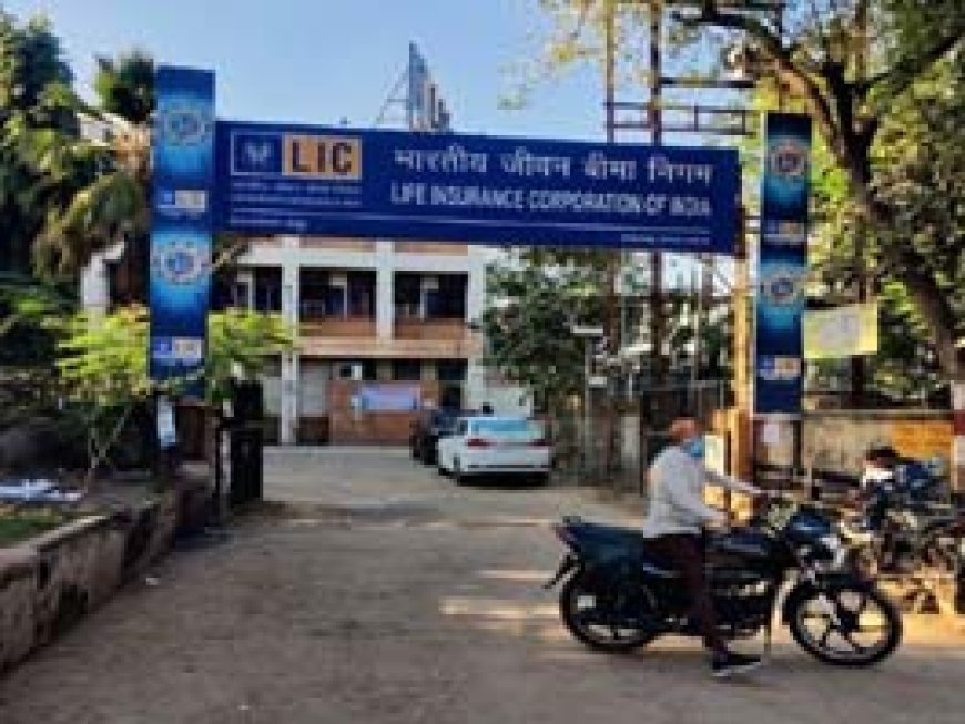 रायपुर में सॉफ्टवेयर-इंजीनियर से महिला LIC एजेंट ने की ठगी