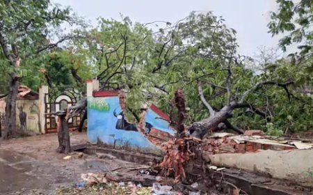 छत्तीसगढ़ में आंधी-तूफान का कहर: बेमेतरा में 2 मजदूरों की मौत, रायपुर में कारों पर गिरा शेड