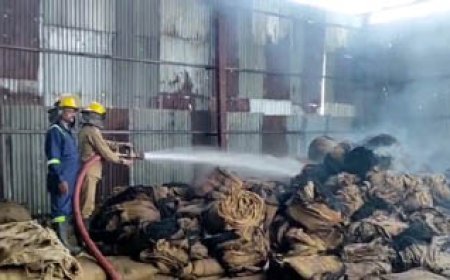 गंगा पैडी प्रोसेस में लगी आग पर दमकल की तेज कार्रवाई, बड़ी अनहोनी को टाला