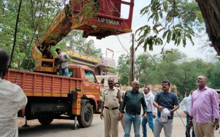 भिलाई के सेक्टर-7 रेलवे स्टेशन क्षेत्र में चला बड़ा अवैध बिजली कनेक्शन हटाओ अभियान, 400 कनेक्शन कटे