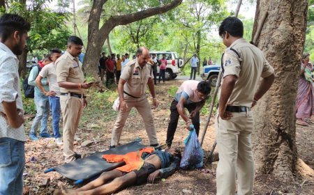 भिलाई में हादसा: जामुन तोड़ने पेड़ पर चढ़े युवक की गिरकर मौत