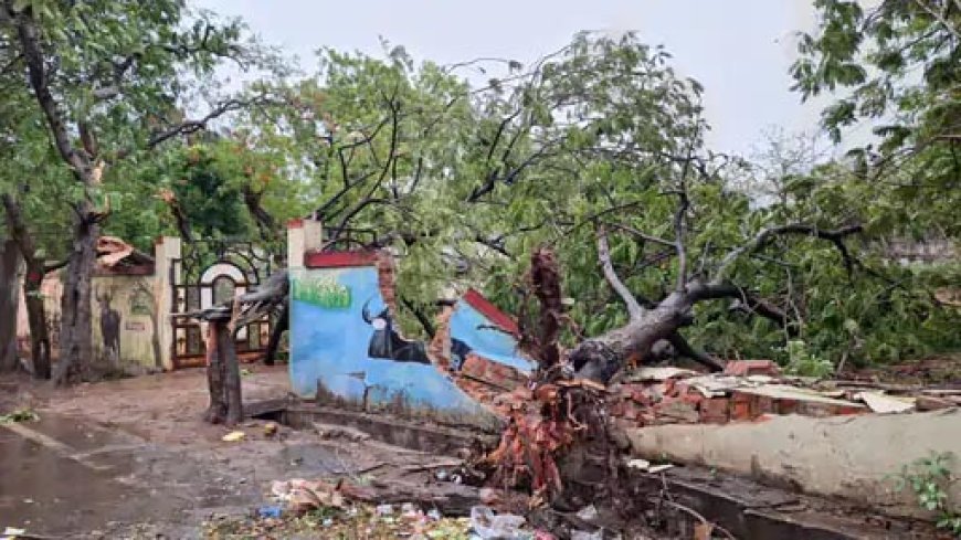 छत्तीसगढ़ में आंधी-तूफान का कहर: बेमेतरा में 2 मजदूरों की मौत, रायपुर में कारों पर गिरा शेड
