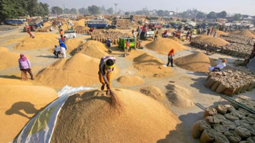 धान में डूबा ख़ज़ाना: किसानों से महंगी खरीदी, सस्ते में बेचने की नौबत