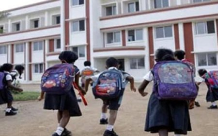 स्कूल बंद नहीं, समायोजन हो रहा: 166 स्कूल होंगे एकीकृत, 10,297 स्कूल यथावत जारी