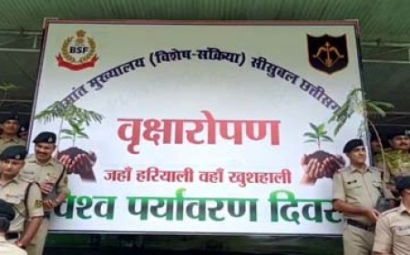 पर्यावरण दिवस पर बीएसएफ जवानों की हरियाली सलामी: 500 पौधों से की शुरुआत  