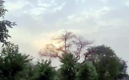 छत्तीसगढ़ में मौसम का बदला मिजाज: 14 जिलों में बिजली गिरने और तेज अंधड़ का अलर्ट