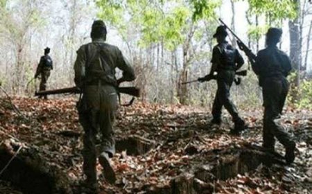 अब नक्सलियों के बाद बाउंसरों का डर: बस्तर में अपहरण और वसूली का नया नेटवर्क उजागर