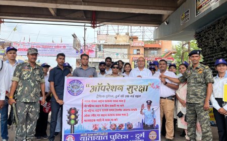 गौ माता की सुरक्षा के लिए सड़क पर बैठे मवेशियों को पहनाया जाएगा रेडियम पट्टा