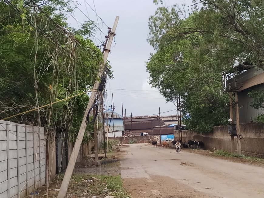 खास समाचार : सालासार कंपनी के पास झुका बिजली पोल, राहगीरों की सुरक्षा पर संकट