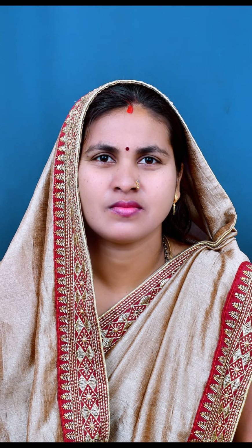 "रिसाली महापौर परिषद में बदलाव की बयार, तीन नए चेहरों की एंट्री, सीमा साहू बाहर"
