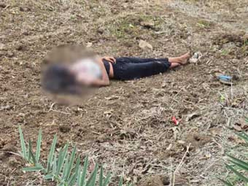 रायपुर के पास नाबालिग छात्रा की बेरहमी से हत्या: खेत में खून से सनी मिली लाश, चाकू-पत्थर से वार के निशान