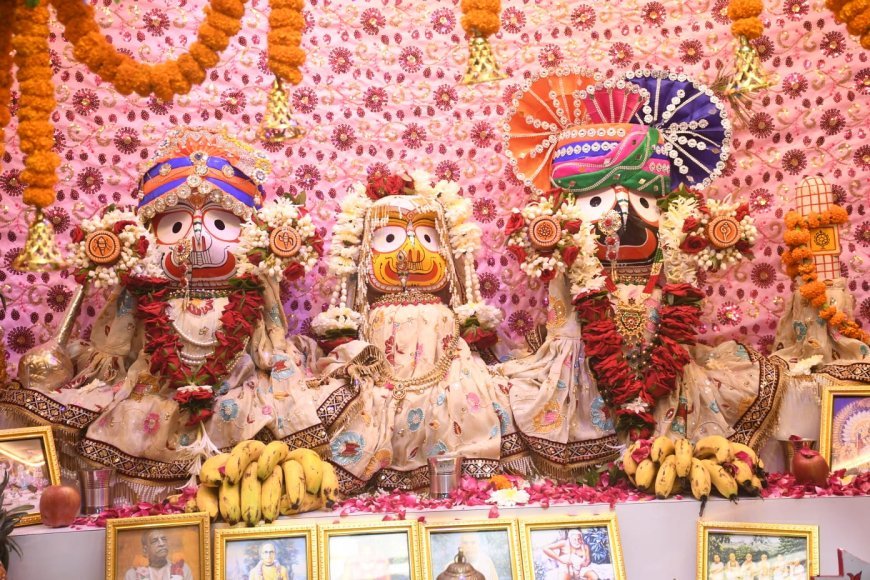 दुर्ग में भव्य रथयात्रा के साथ गूंजा हरिनाम संकीर्तन, श्रद्धा और भक्ति का अद्भुत संगम