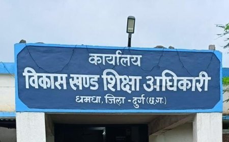 बिना बीईओ के चल रहा धमधा शिक्षा विभाग, दो वर्षों से लटकी है स्थायी नियुक्ति