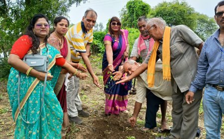 श्रावण मास में वृक्षारोपण से सजाया गांव: मचांदुर में चंदन के पौधों के साथ शुरू हुआ हरियाली का संकल्प
