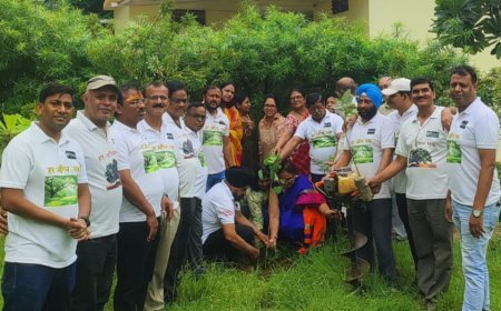 भिलाई के चौहान टाउन में "हर आंगन एक पेड़" अभियान का आयोजन, वाटर हार्वेस्टिंग को भी मिला बढ़ावा