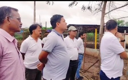 स्वच्छता और सौंदर्यीकरण की ओर भिलाई: आयुक्त ने किया गौठान और नाले का निरीक्षण