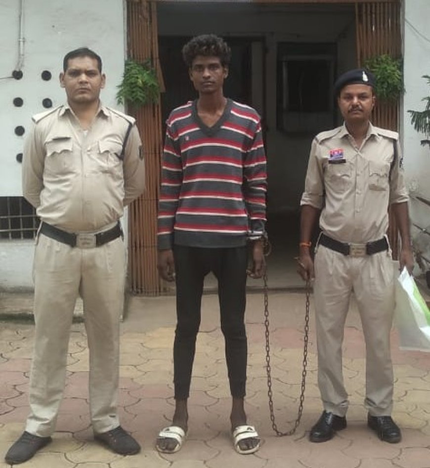 दानपेटी और क्लीनिक से नगदी चोरी करने वाला आरोपी गिरफ्तार
