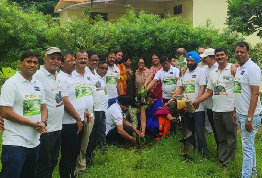 भिलाई के चौहान टाउन में "हर आंगन एक पेड़" अभियान का आयोजन, वाटर हार्वेस्टिंग को भी मिला बढ़ावा