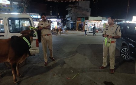 एनएच पर मवेशी छोड़ने वाले दो मालिकों पर सूरजपुर पुलिस की कार्रवाई