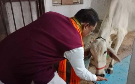 गौ-सेवा से मिलती है आत्मिक शांति और शक्ति : मुख्यमंत्री विष्णु देव साय