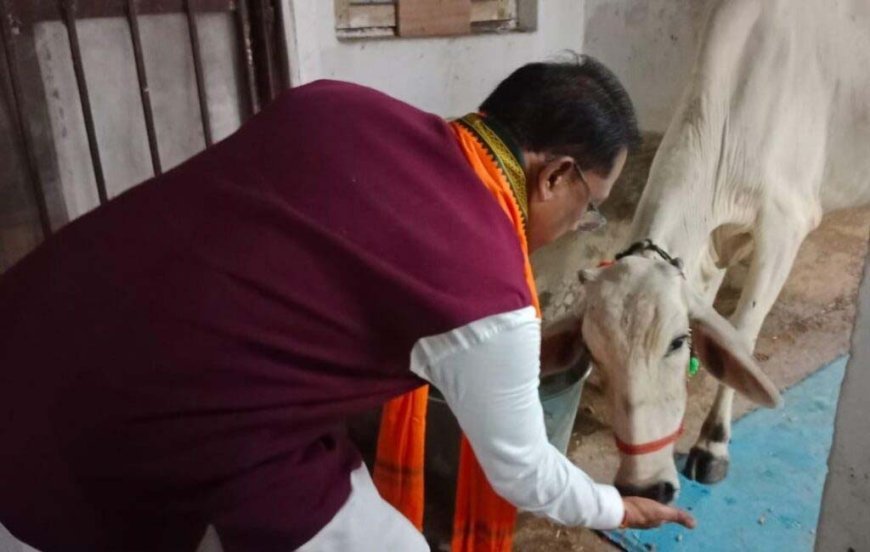 गौ-सेवा से मिलती है आत्मिक शांति और शक्ति : मुख्यमंत्री विष्णु देव साय