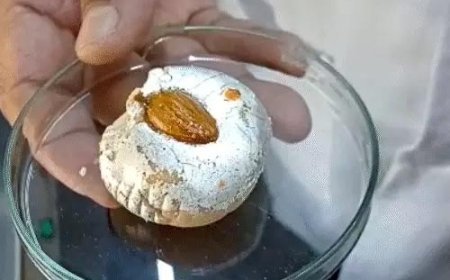 दिवाली से पहले मिठाइयों पर खतरा: रायपुर में 8 हजार किलो नकली पनीर जब्त, घर बैठे ऐसे पहचानें असली-नकली दूध और खोया