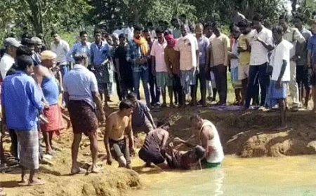 मधुमक्खियों के हमले से बचने डबरी में कूदे पिता-पुत्र, पानी में डूबकर दोनों की मौत